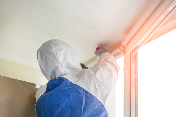 Why You Should Choose Our Mold Remediation Services in Florissant, MO